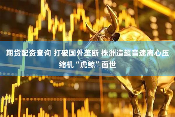期货配资查询 打破国外垄断 株洲造超音速离心压缩机“虎鲸”面世